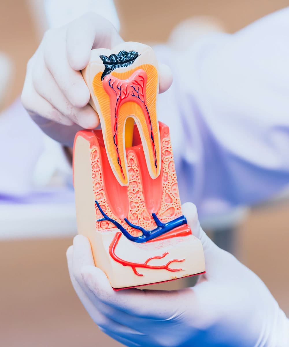 types-of-dental-abscess-treatment-at-eledent