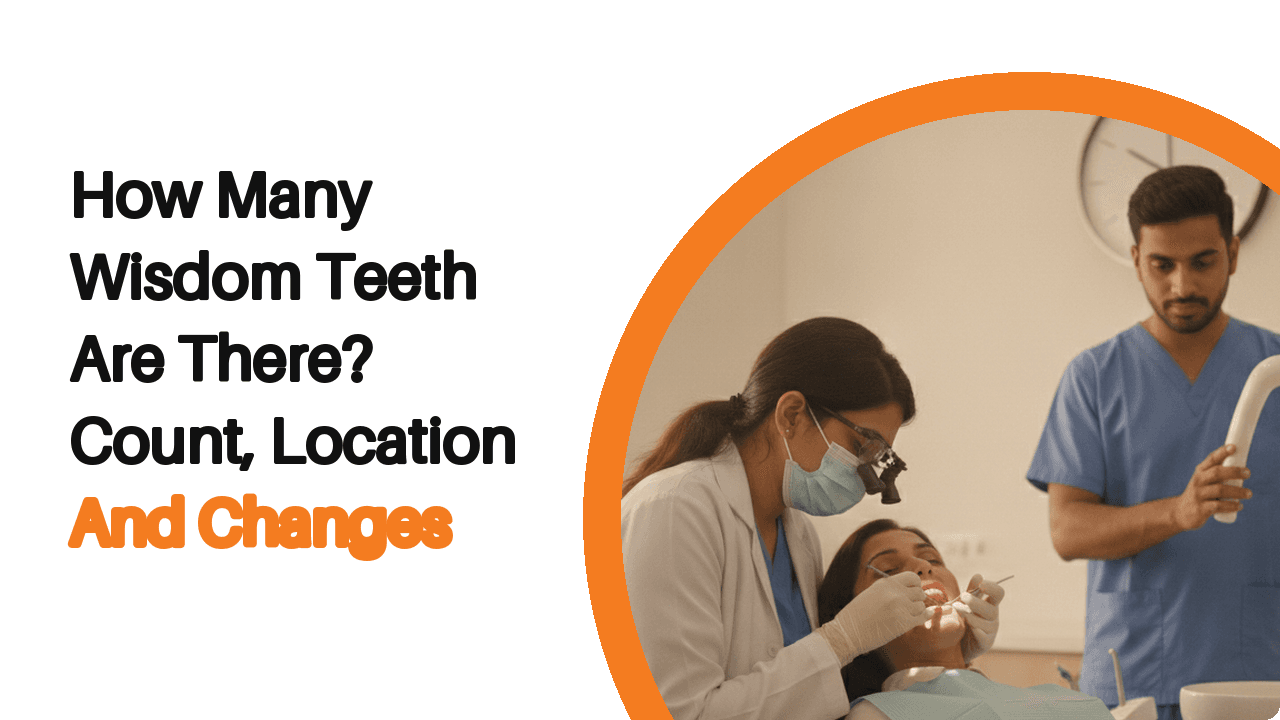 How Many Wisdom Teeth Are There? Count, Location And Changes