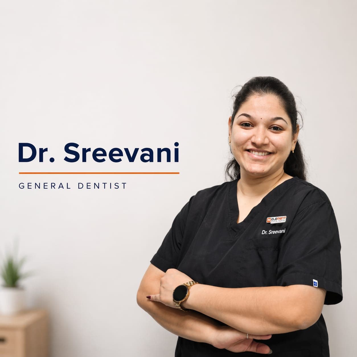 Dr. N Sreevani